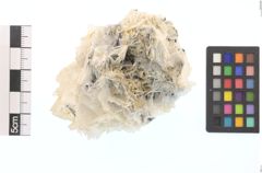 Foto von Gold (NHMW-MIN-Aa2506)